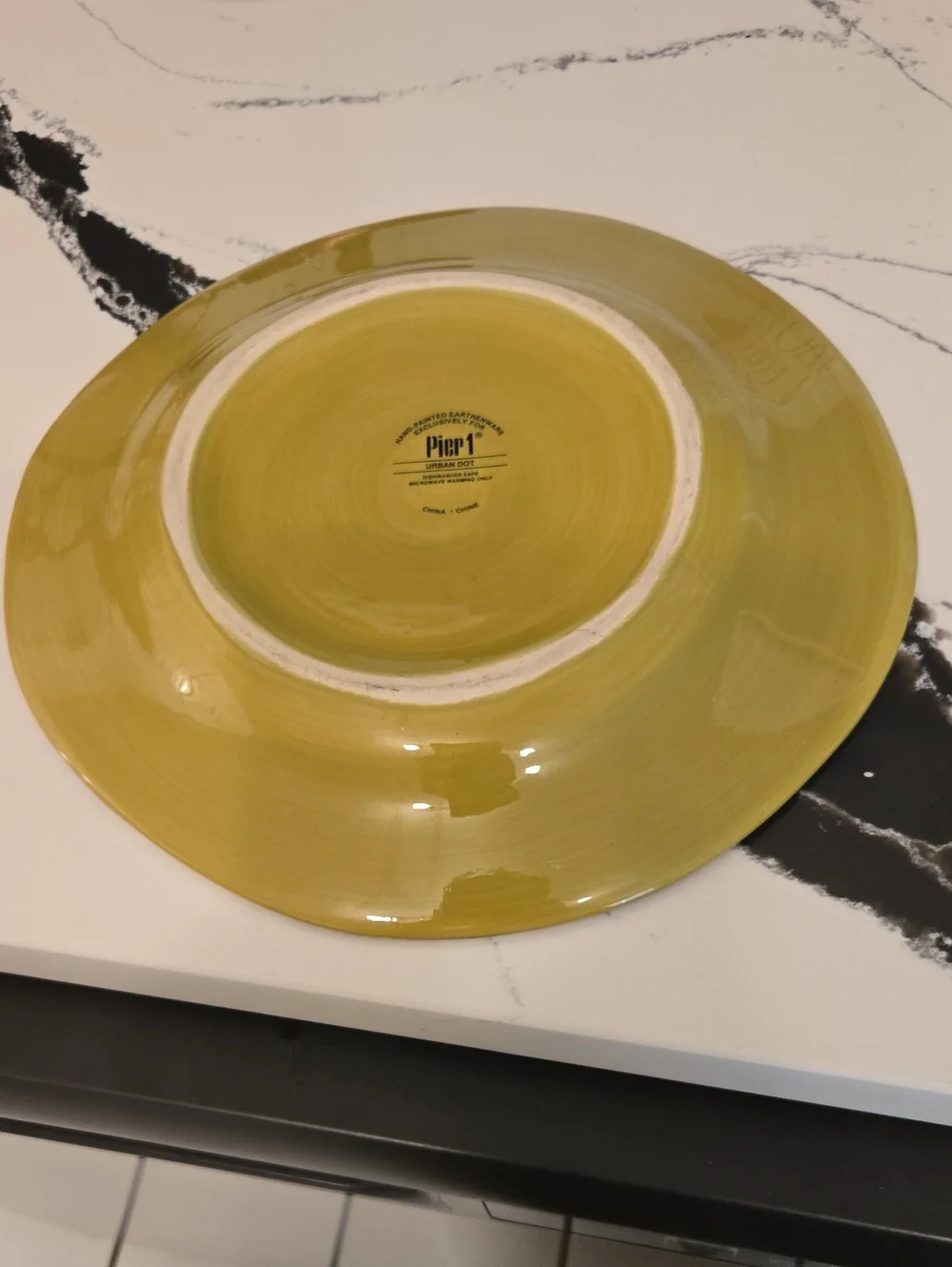 Pier 1  Urban Dot Hand Painted Earthenware Dinner Plate.